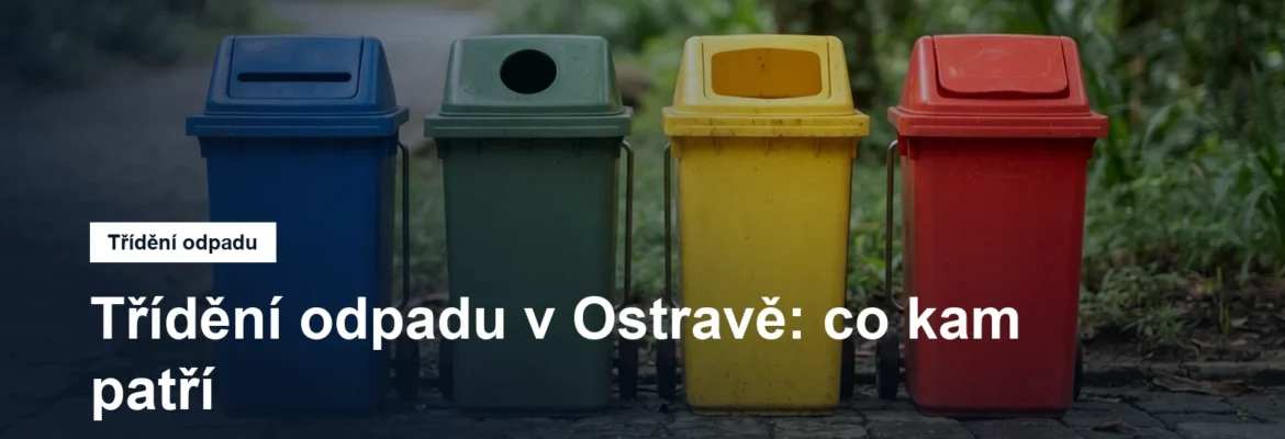 Řada barevných kontejnerů na tříděný odpad