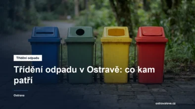 Řada barevných kontejnerů na tříděný odpad