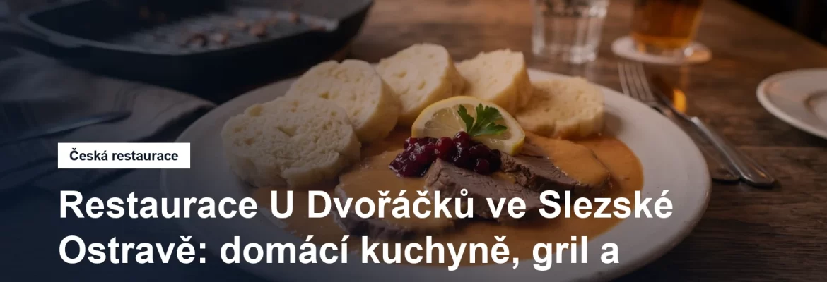 Talíř české domácí kuchyně s omáčkou a knedlíkem na dřevěném stole v restauraci