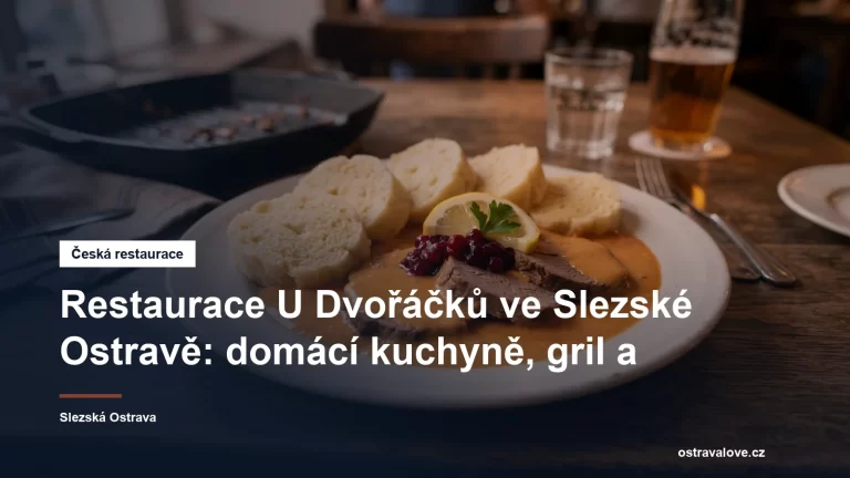 Talíř české domácí kuchyně s omáčkou a knedlíkem na dřevěném stole v restauraci