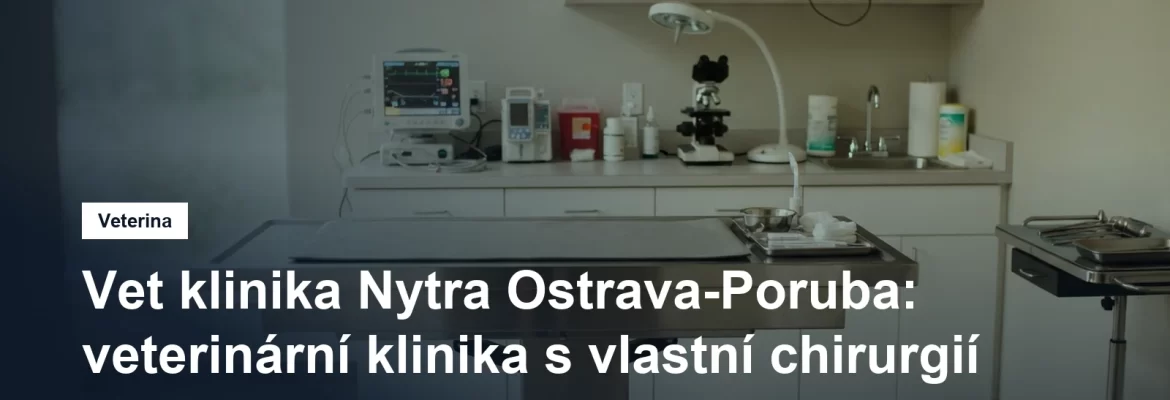 Světlá veterinární ordinace s vyšetřovacím stolem a přístroji