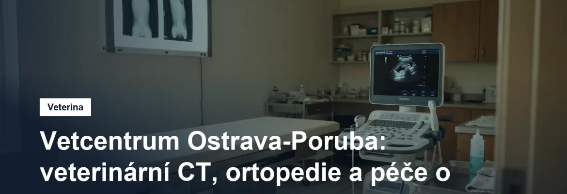 Veterinární vyšetřovna s prohlížečem rentgenových snímků a ultrazvukem