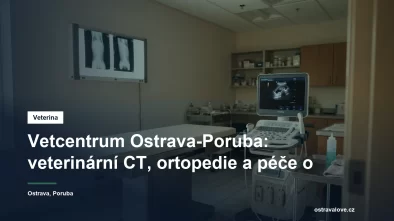 Veterinární vyšetřovna s prohlížečem rentgenových snímků a ultrazvukem