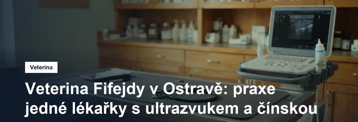 Ultrazvukový přístroj a vyšetřovací stůl v malé veterinární ordinaci