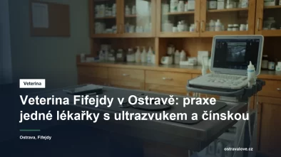 Ultrazvukový přístroj a vyšetřovací stůl v malé veterinární ordinaci