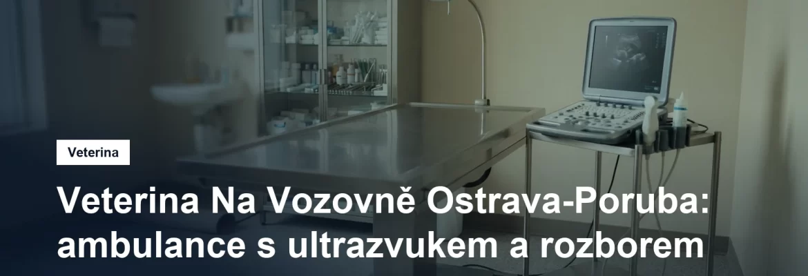 Veterinární ultrazvuk a vyšetřovací stůl v malé ordinaci