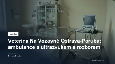 Veterinární ultrazvuk a vyšetřovací stůl v malé ordinaci