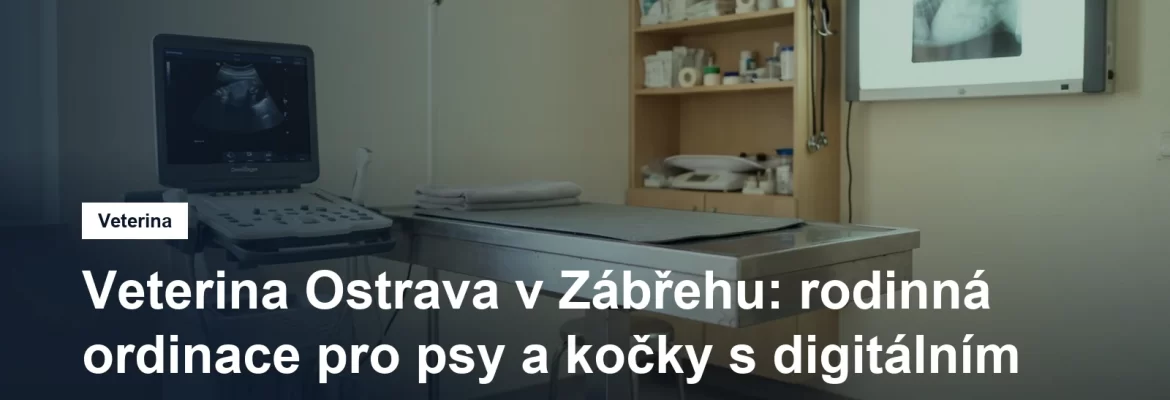 Vyšetřovna malé veterinární ordinace s ultrazvukem a nerezovým stolem