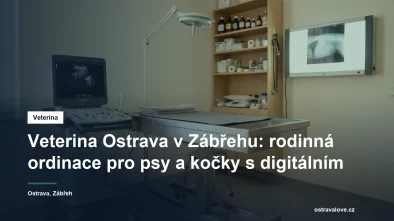 Vyšetřovna malé veterinární ordinace s ultrazvukem a nerezovým stolem