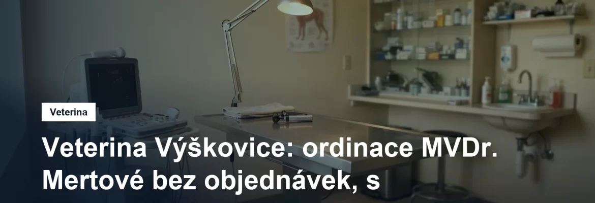 Vyšetřovací stůl v malé veterinární ordinaci s ultrazvukovou sondou a lampou