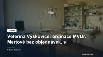 Vyšetřovací stůl v malé veterinární ordinaci s ultrazvukovou sondou a lampou