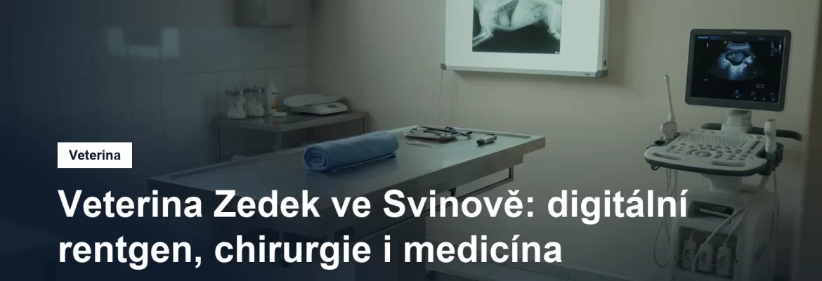 Veterinární vyšetřovna s rentgenovým snímkem na prohlížecím panelu