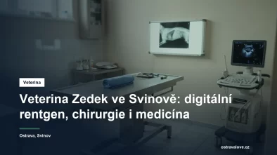 Veterinární vyšetřovna s rentgenovým snímkem na prohlížecím panelu