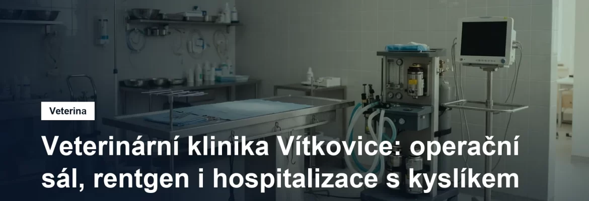 Veterinární operační sál s anesteziologickým přístrojem a monitorem funkcí