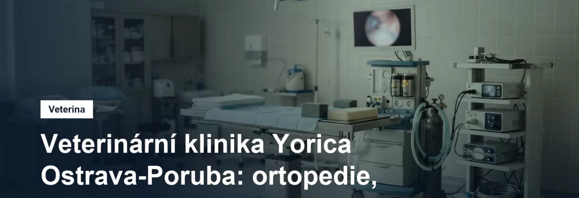 Veterinární chirurgický sál s artroskopickou věží a monitorem životních funkcí
