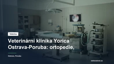 Veterinární chirurgický sál s artroskopickou věží a monitorem životních funkcí