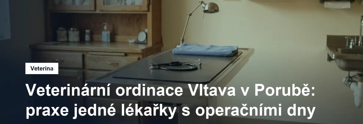 Vyšetřovací stůl v malé veterinární ordinaci se stetoskopem a lampou