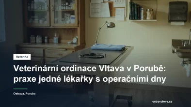 Vyšetřovací stůl v malé veterinární ordinaci se stetoskopem a lampou