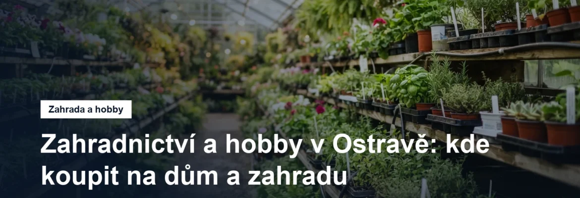 Regály se sadbou a rostlinami v zahradnickém centru