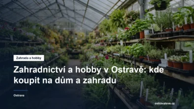 Regály se sadbou a rostlinami v zahradnickém centru