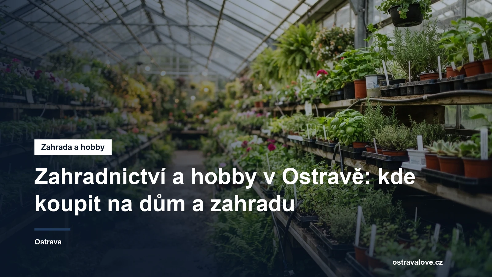Regály se sadbou a rostlinami v zahradnickém centru