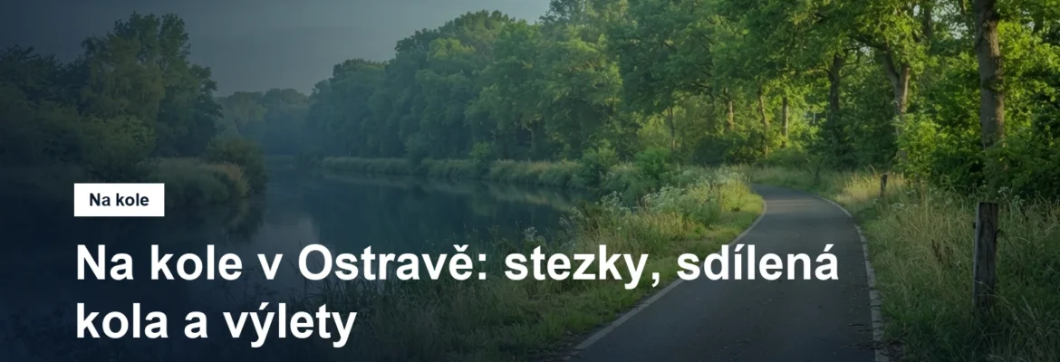 Asfaltová cyklostezka podél řeky se stromořadím