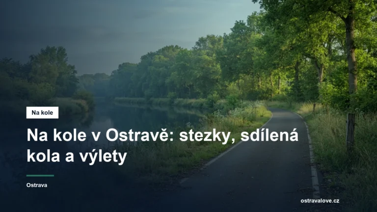 Asfaltová cyklostezka podél řeky se stromořadím