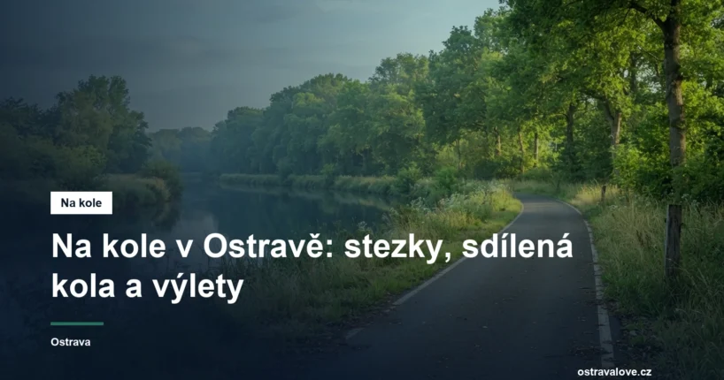 Asfaltová cyklostezka podél řeky se stromořadím