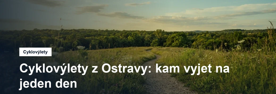 Polní cesta mezi loukami mířící k lesnatému obzoru