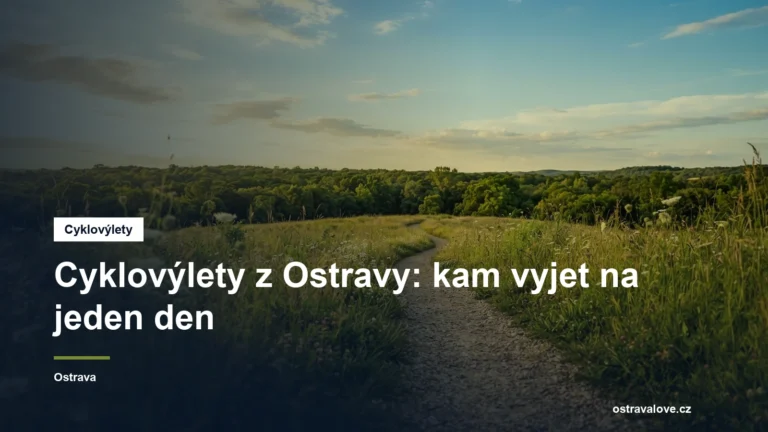 Polní cesta mezi loukami mířící k lesnatému obzoru