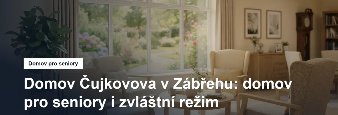Prosvětlená společenská místnost pobytového zařízení s křesly a oknem do zahrady