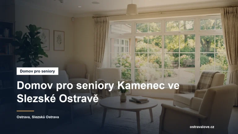 Prosvětlená společenská místnost pobytového zařízení s křesly a oknem do zahrady