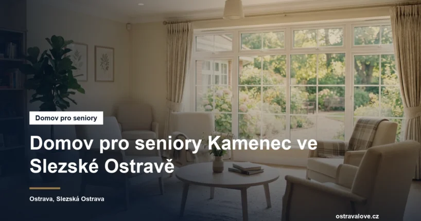 Prosvětlená společenská místnost pobytového zařízení s křesly a oknem do zahrady
