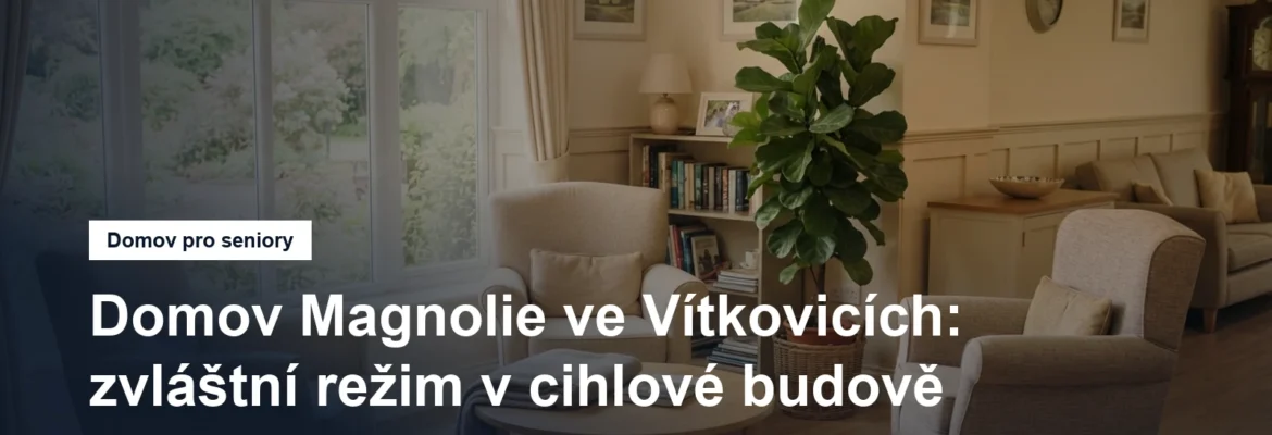 Prosvětlená společenská místnost pobytového zařízení s křesly a oknem do zahrady