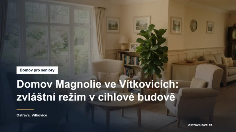 Prosvětlená společenská místnost pobytového zařízení s křesly a oknem do zahrady