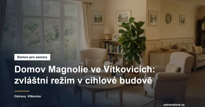 Prosvětlená společenská místnost pobytového zařízení s křesly a oknem do zahrady