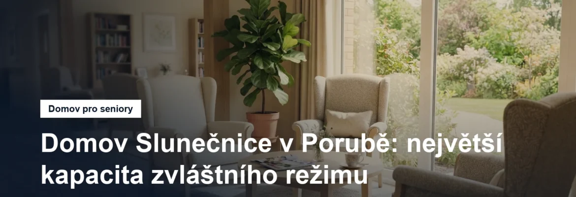 Prosvětlená společenská místnost pobytového zařízení s křesly a oknem do zahrady