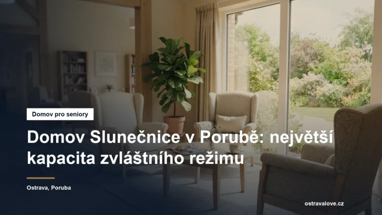 Prosvětlená společenská místnost pobytového zařízení s křesly a oknem do zahrady