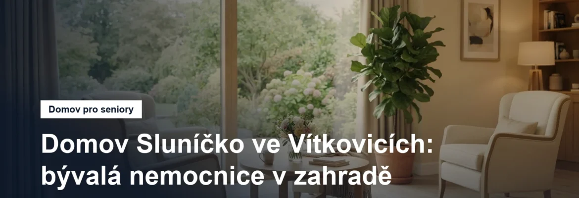 Prosvětlená společenská místnost pobytového zařízení s křesly a oknem do zahrady