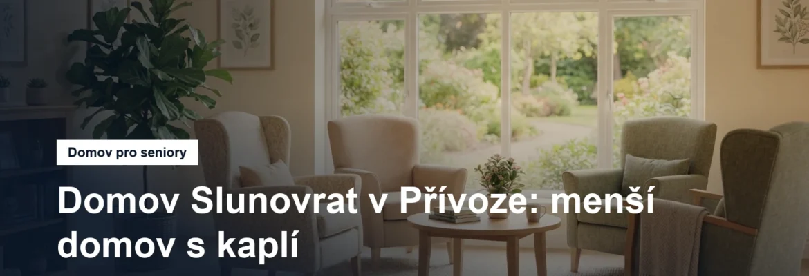 Prosvětlená společenská místnost pobytového zařízení s křesly a oknem do zahrady