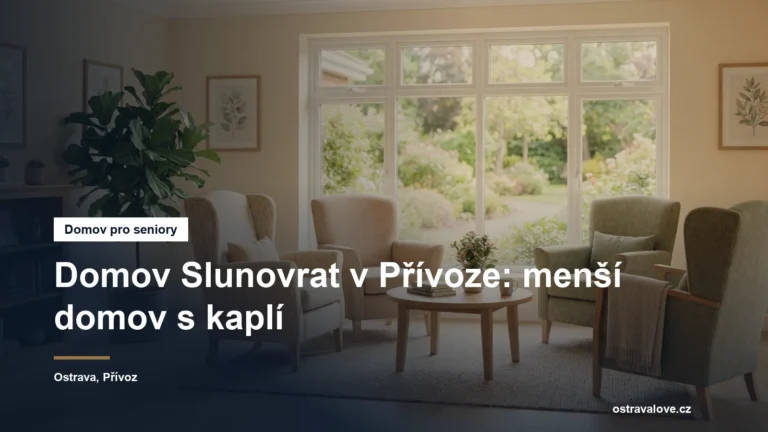 Prosvětlená společenská místnost pobytového zařízení s křesly a oknem do zahrady