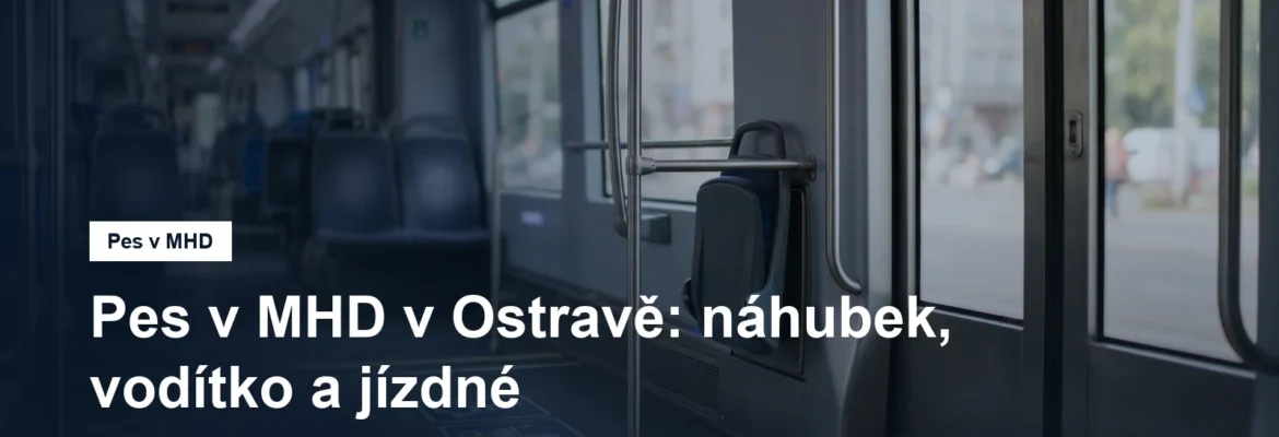 Podlaha tramvaje u dveří s madly a vyhrazeným prostorem