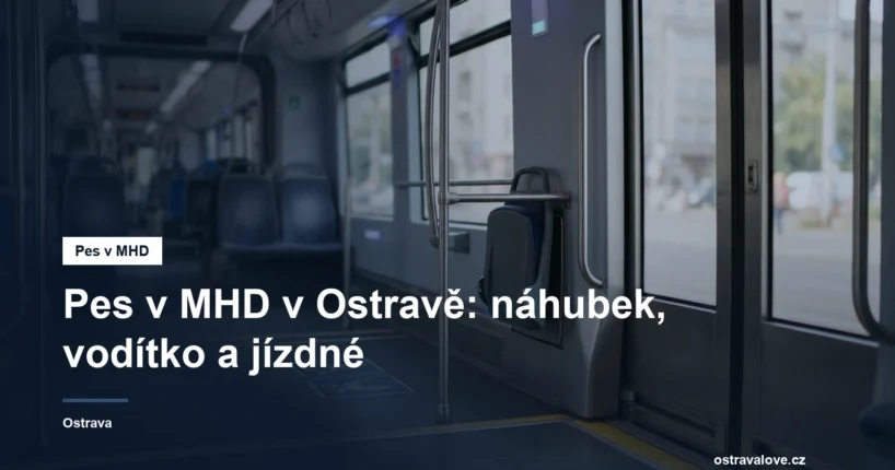 Podlaha tramvaje u dveří s madly a vyhrazeným prostorem