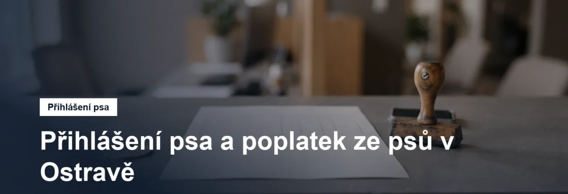 Úřední přepážka s formulářem, razítkem a kovovou známkou