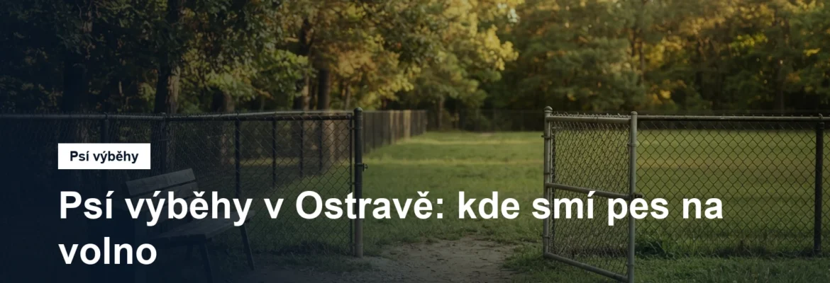 Oplocený travnatý psí výběh s lavičkou a brankou
