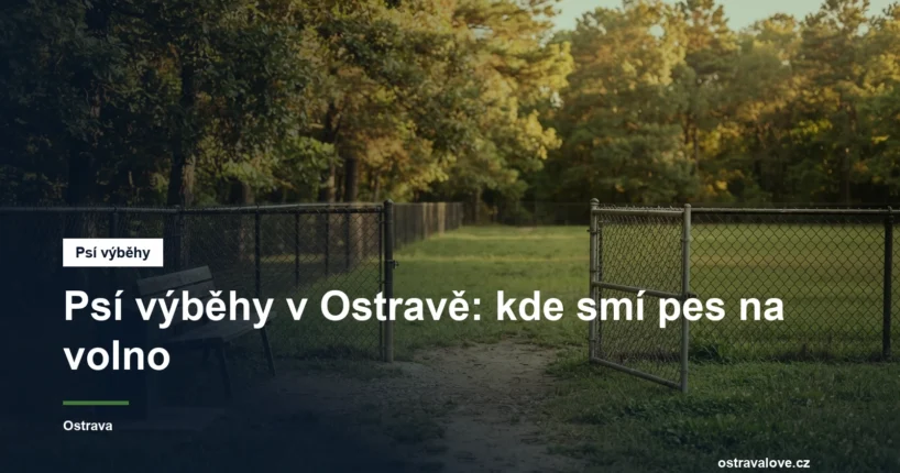 Oplocený travnatý psí výběh s lavičkou a brankou