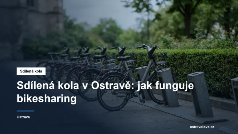 Řada kol zaparkovaných ve stojanech na městském stanovišti