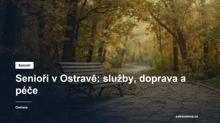 Lavička v klidném parku s alejí vzrostlých stromů a pěšinou