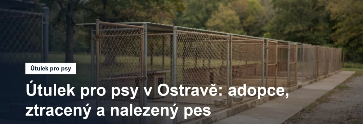 Prázdné kotce útulku s otevřenými dvířky a betonovým výběhem