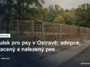 Prázdné kotce útulku s otevřenými dvířky a betonovým výběhem